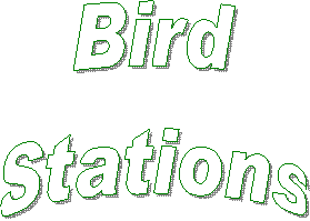 Bird
Stations